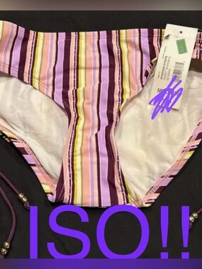ISO!!! bisou bisou striped bikini bottoms in a size LARGE